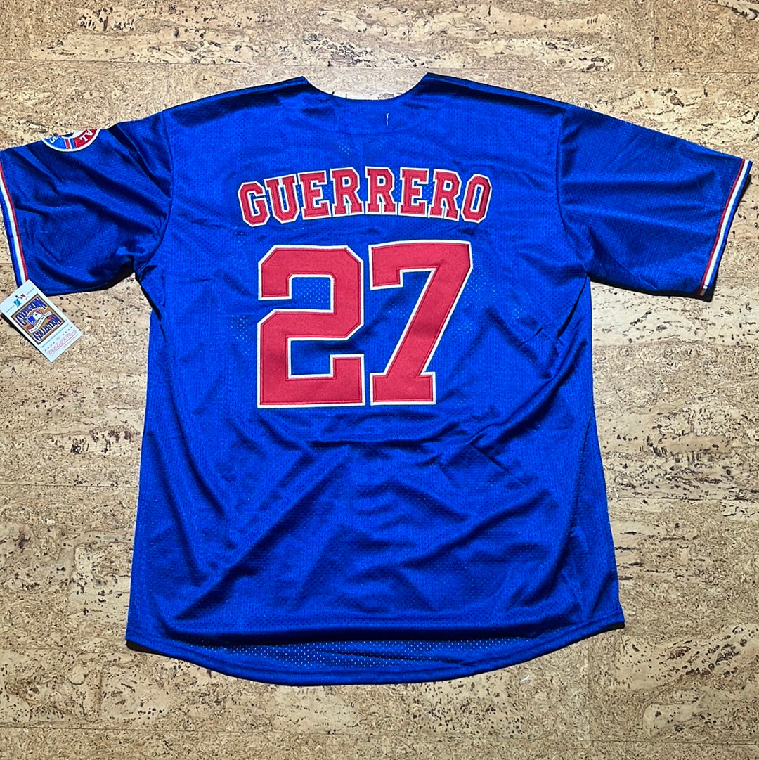 Vladimir Guerrero bleu mtl