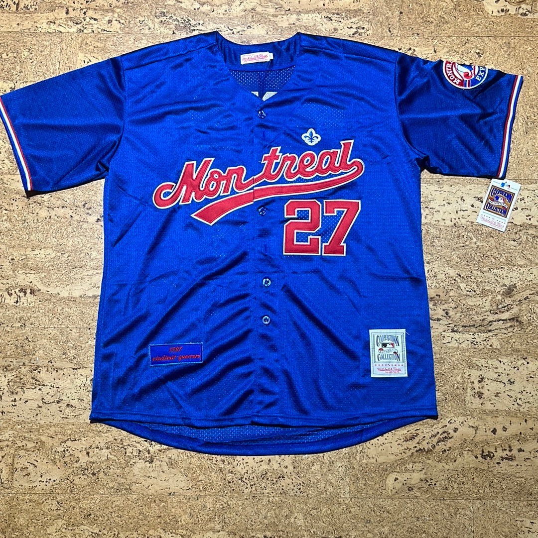 Vladimir Guerrero bleu mtl