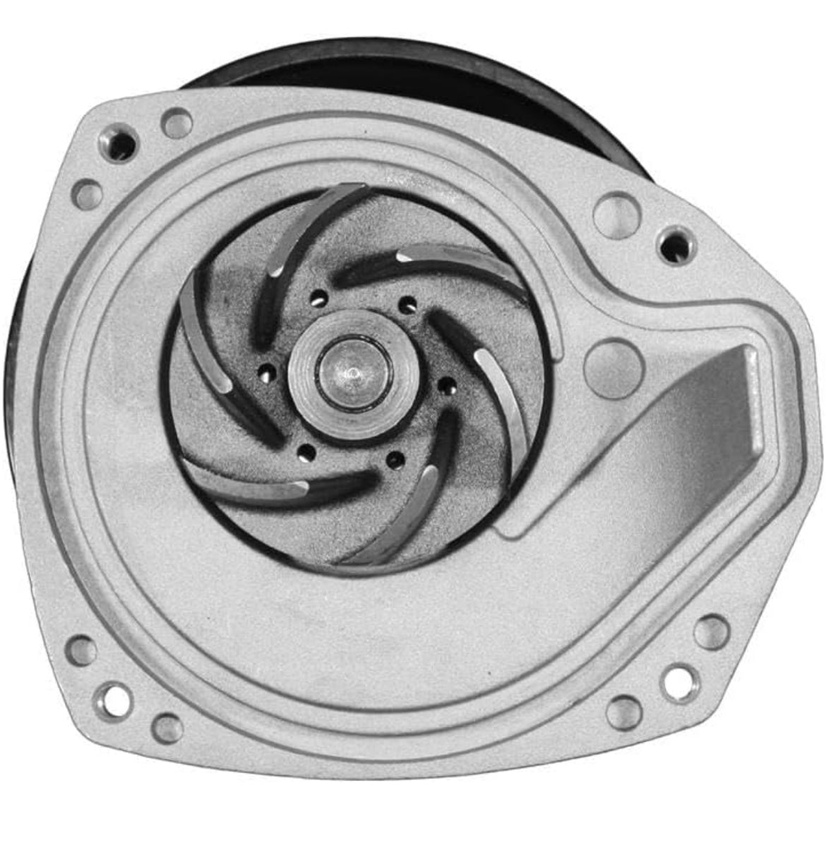 ACDelco 252-1009 Professional Water Pump Kit