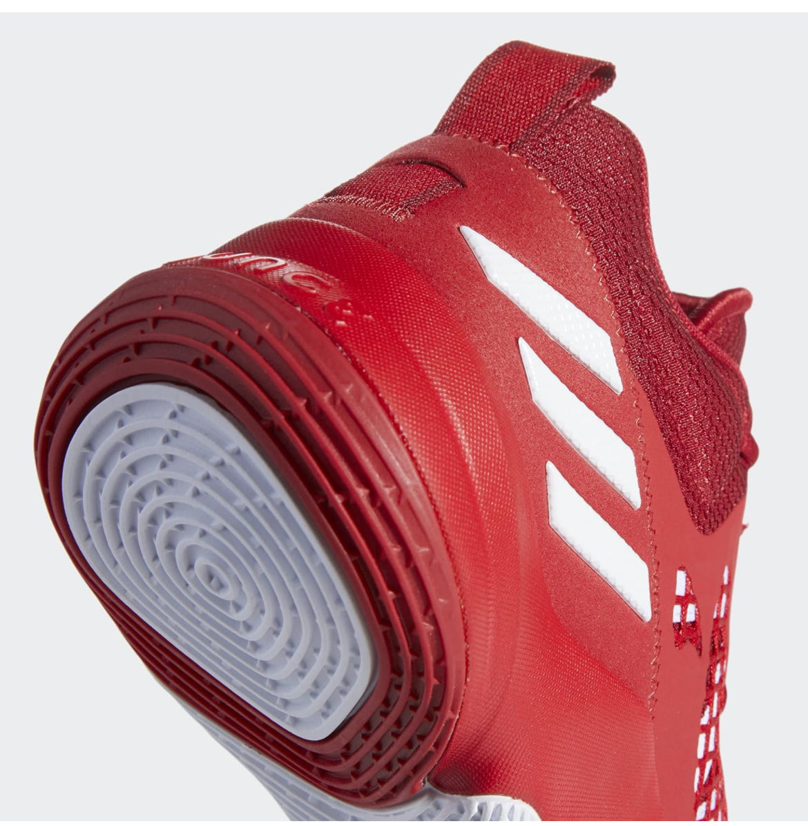 Pro n3xt 2021