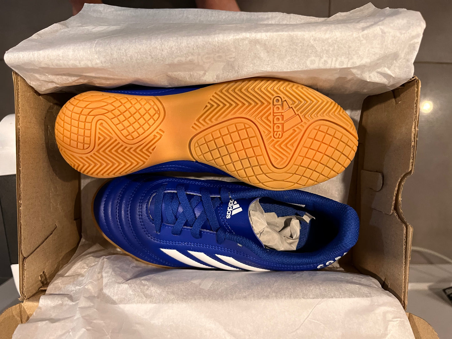 Copa 20.4 Indoor Blue