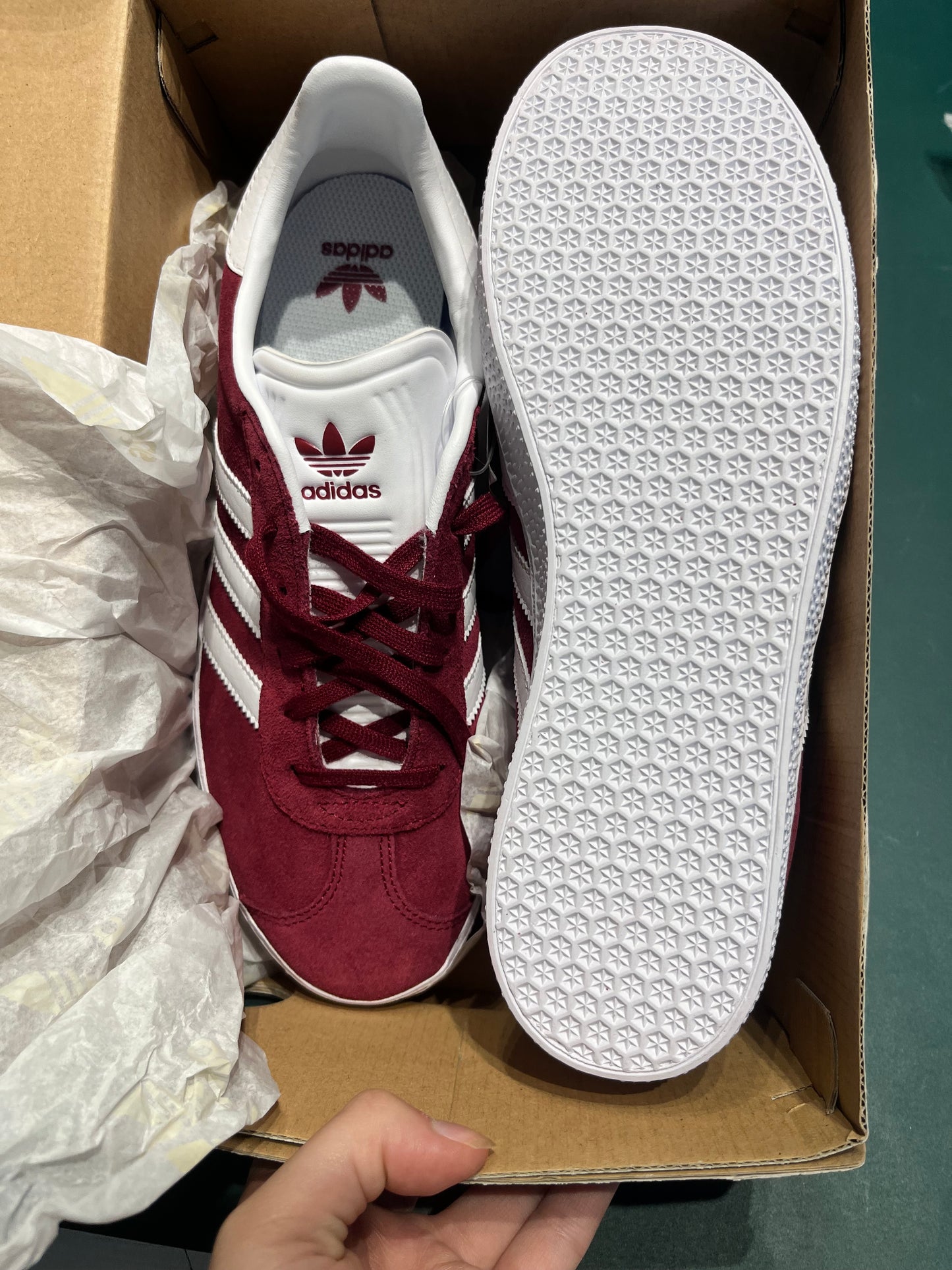 Gazelle J