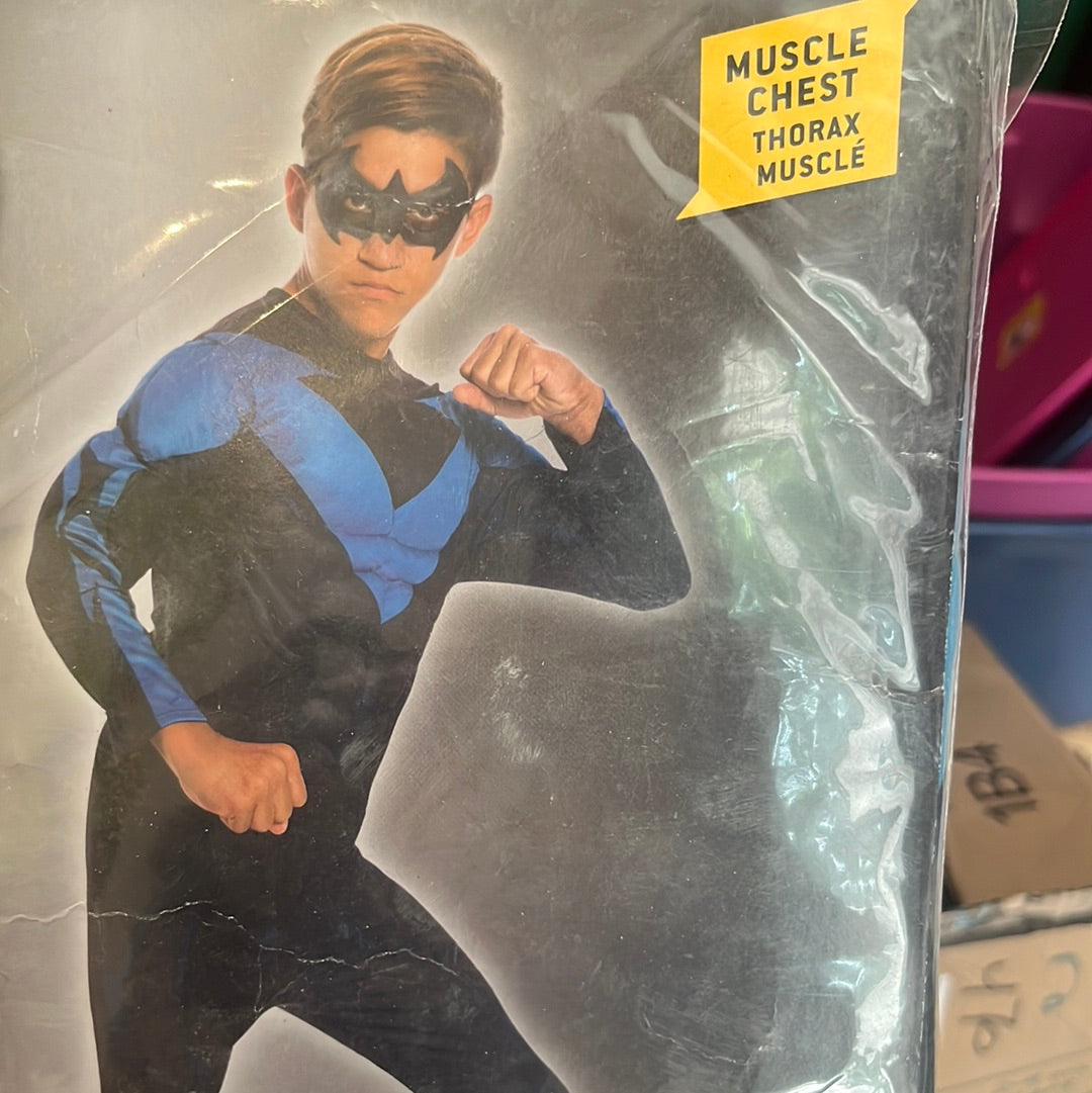 Nightwing DC Halloween Costume