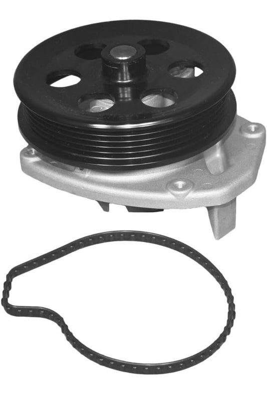 ACDelco 252-1009 Professional Water Pump Kit